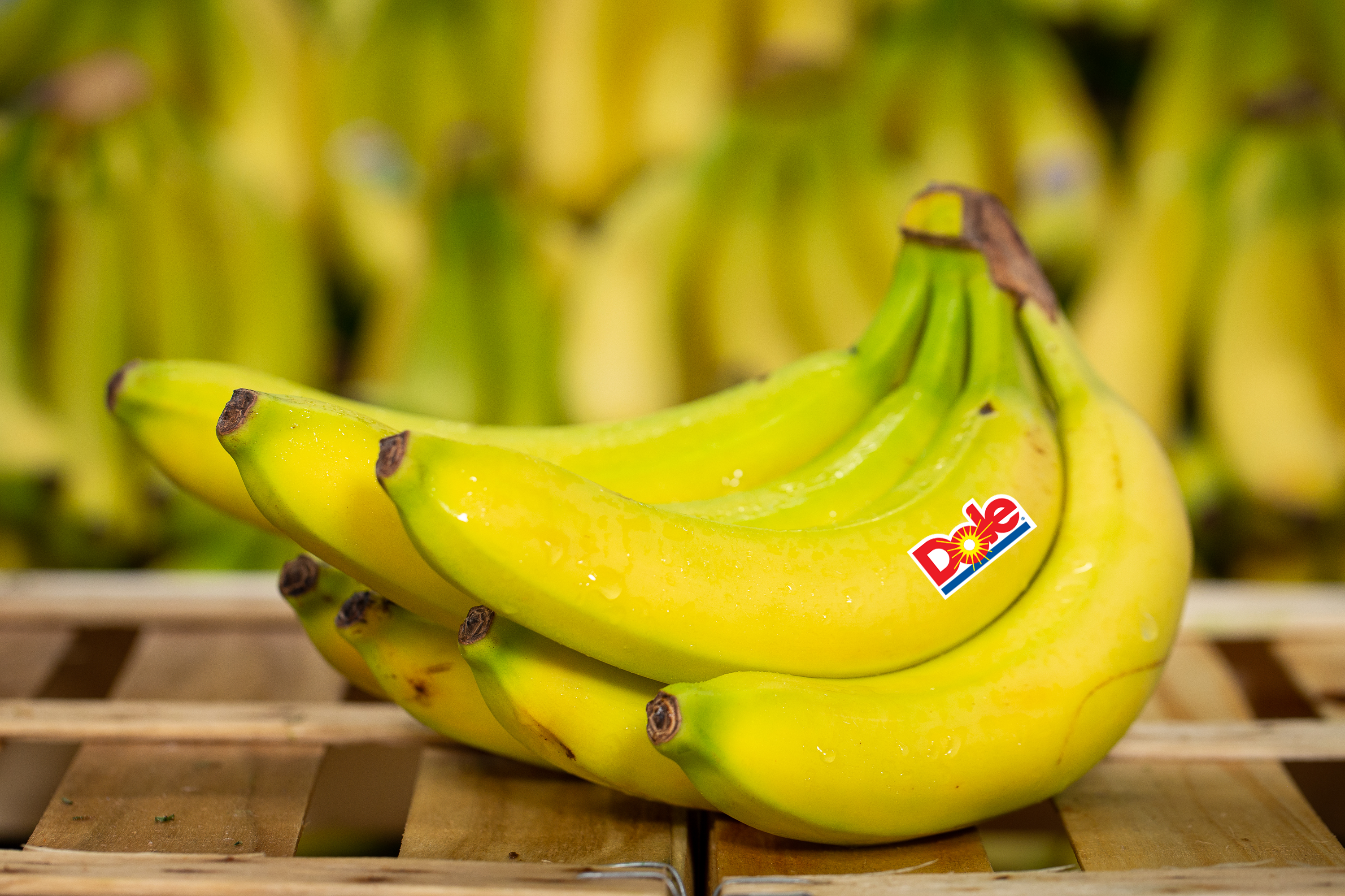 bananes-dole
