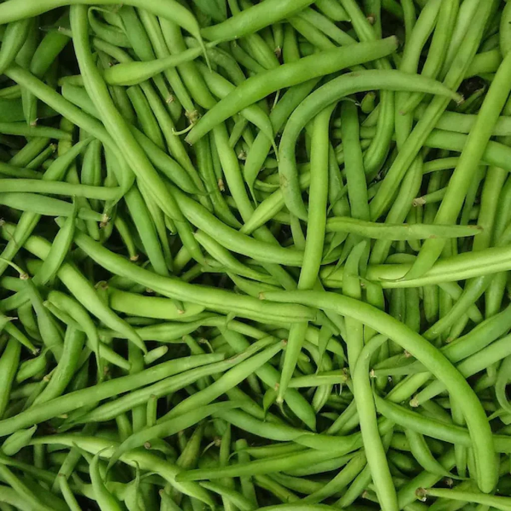haricots-verts